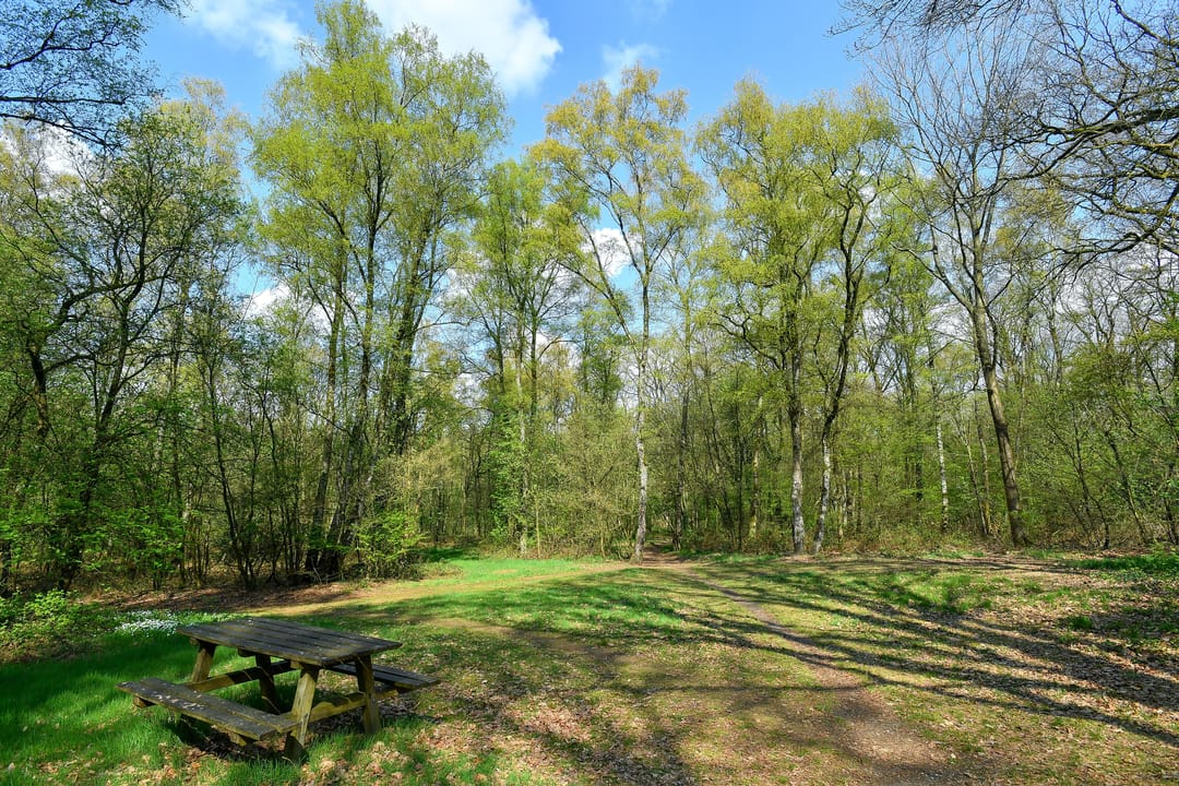 Foto 41 van Koningsberg 16