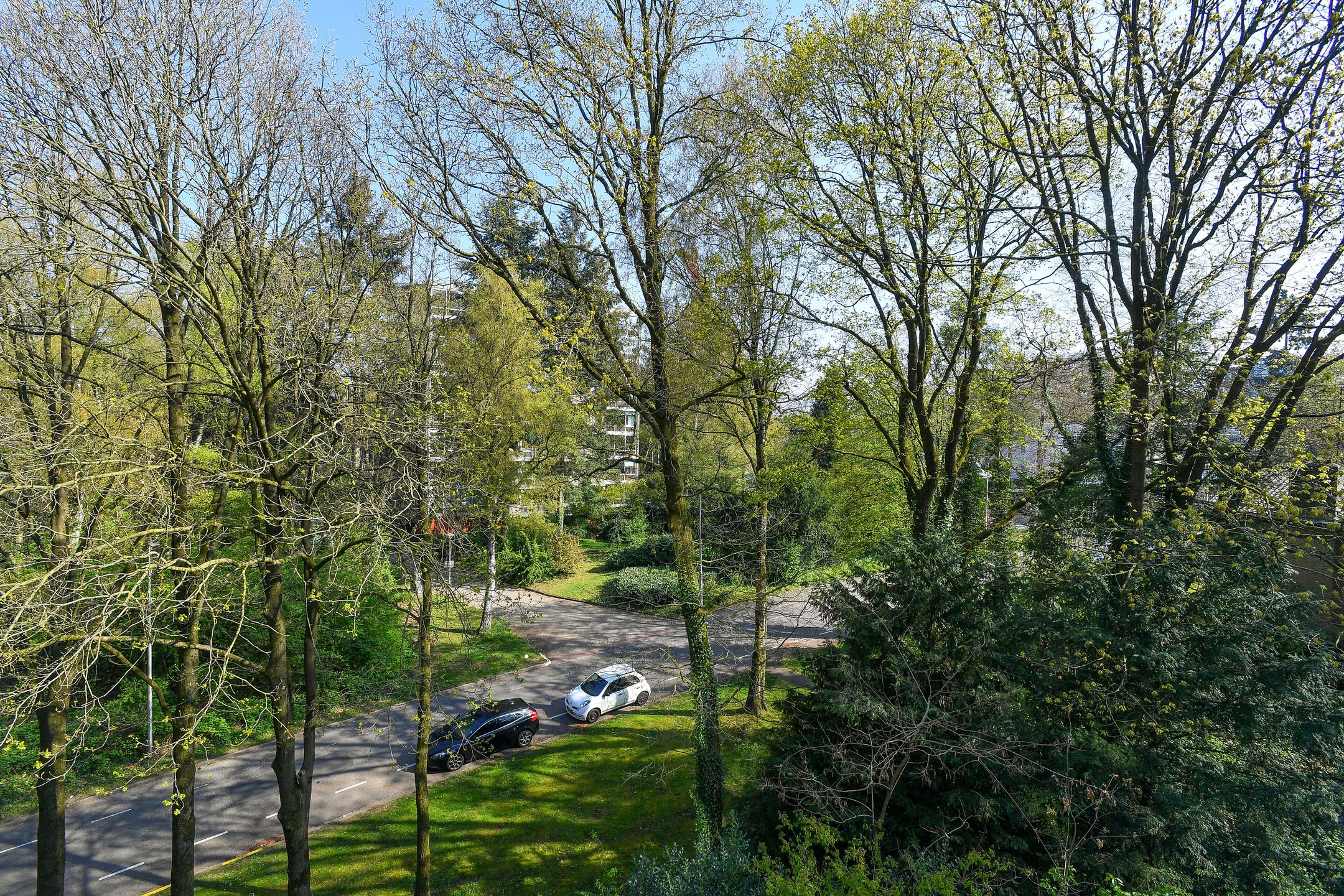 Foto 33 van Koningsberg 16