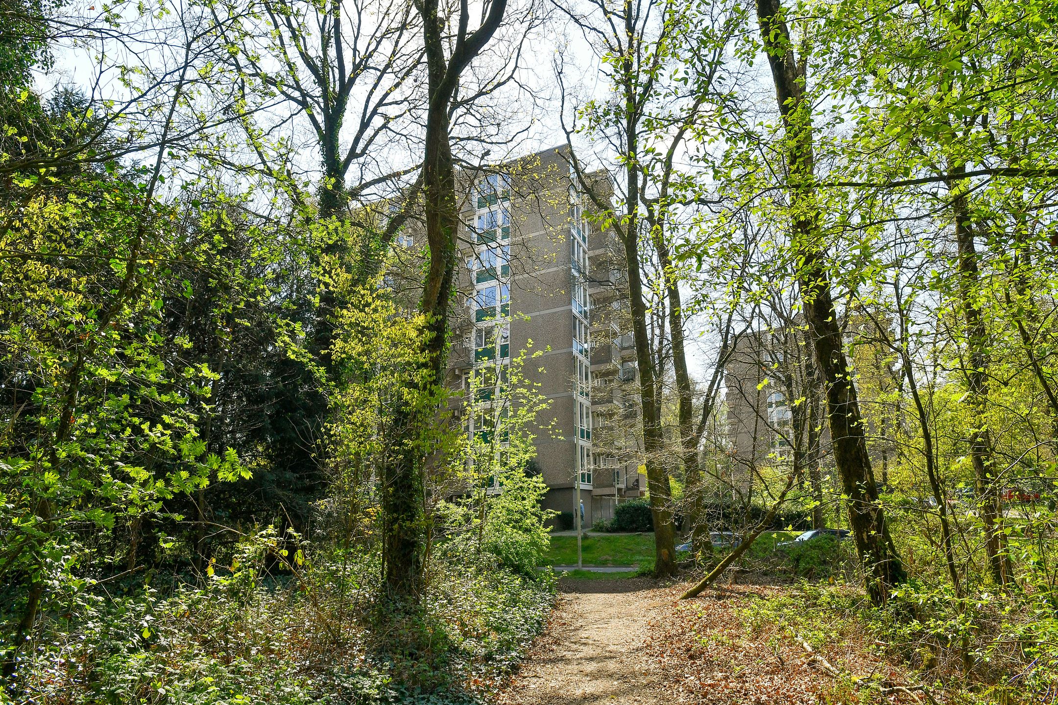 Foto 39 van Koningsberg 16