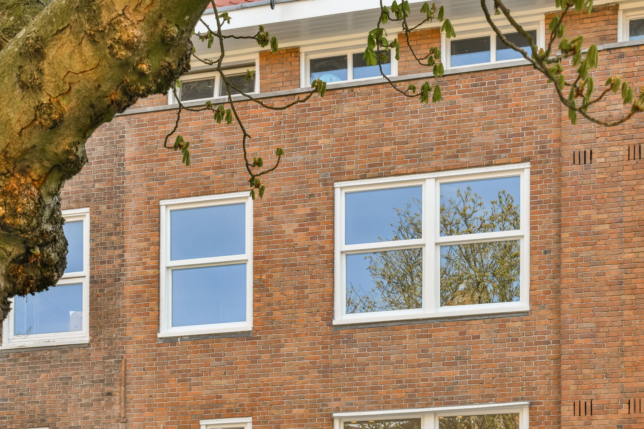 Foto 24 van Pieter van der Doesstraat 54-2