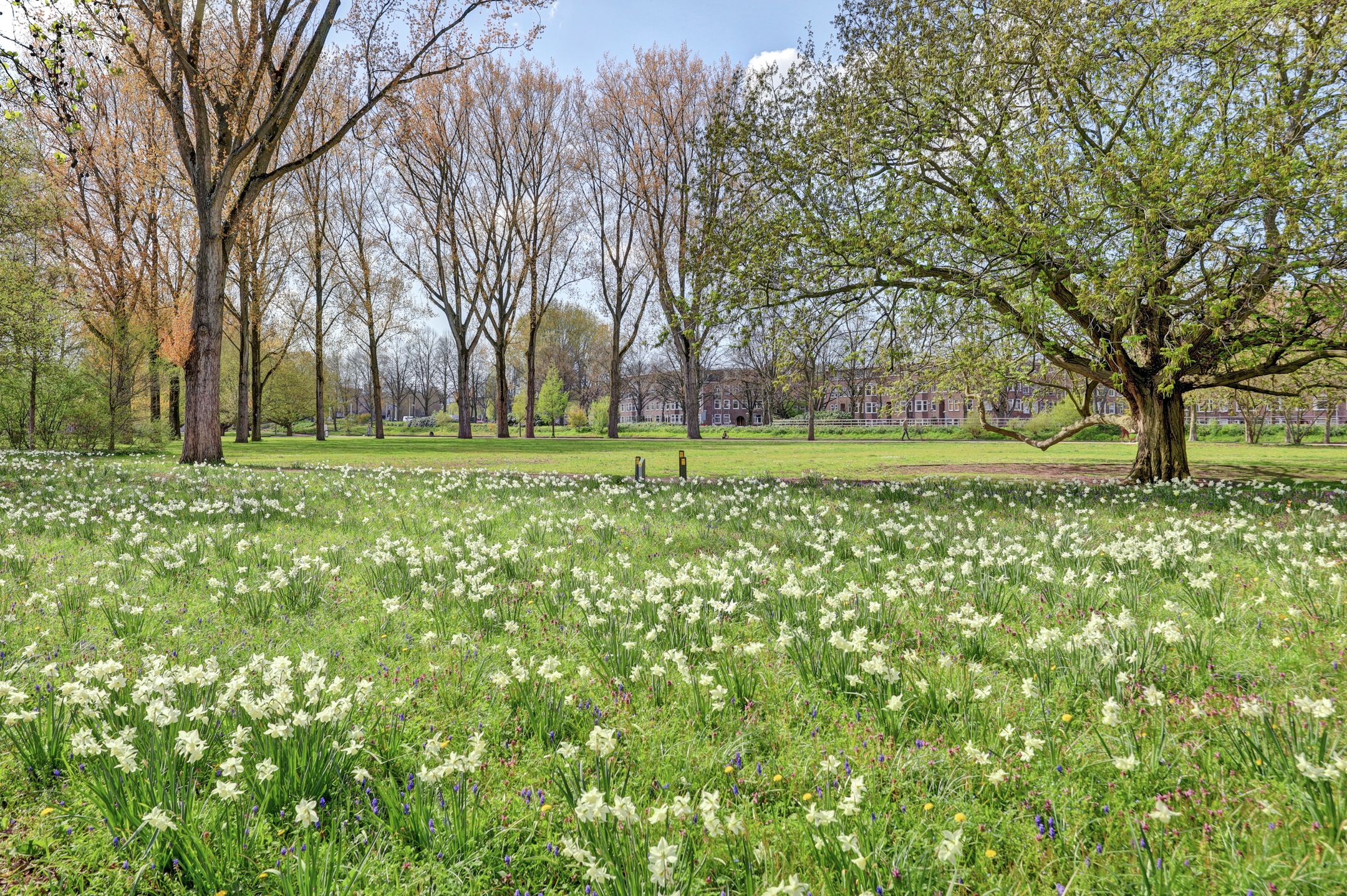 Foto 24 van Hunzestraat 97-1