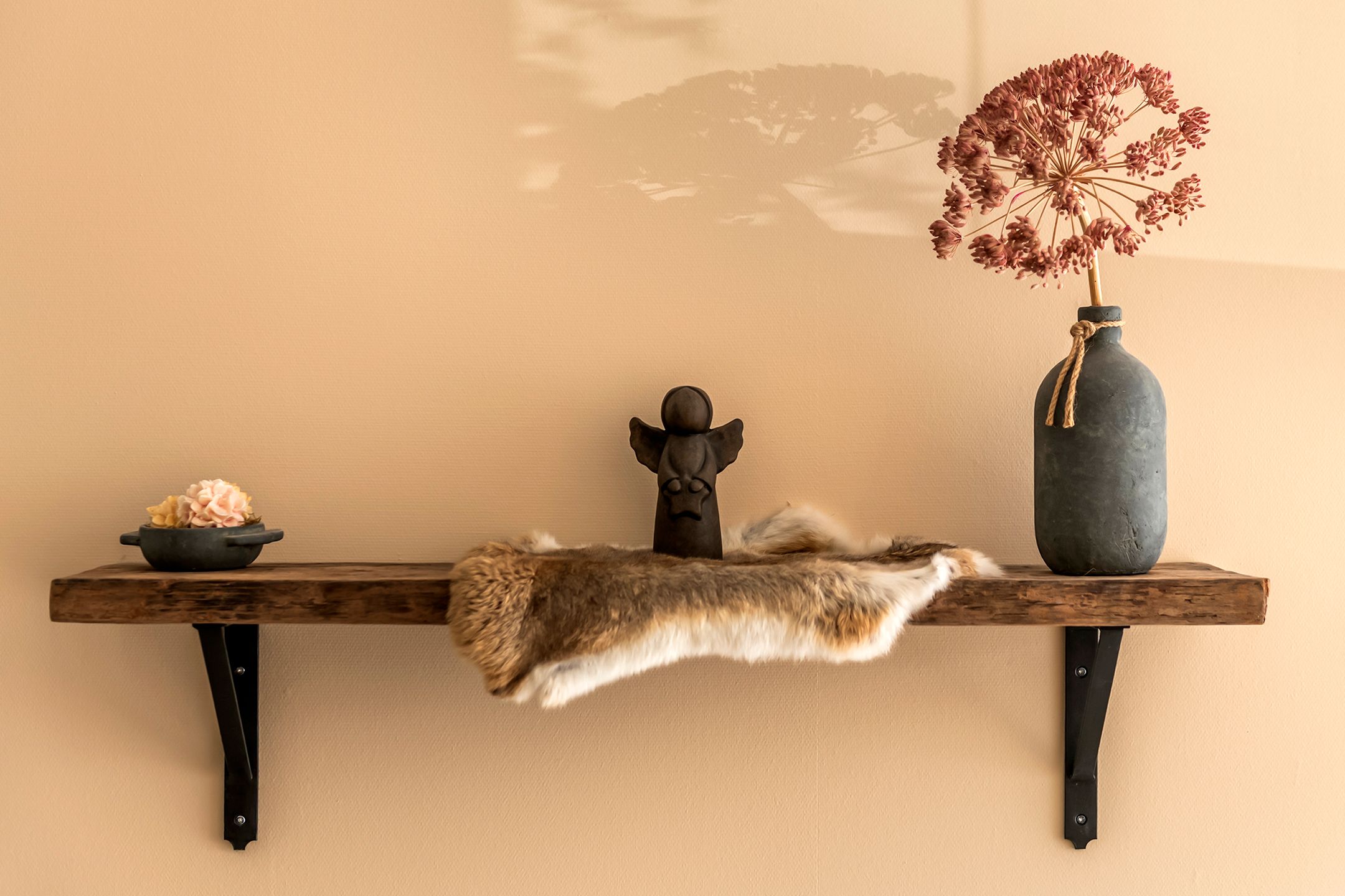 Foto 18 van Fazant 14