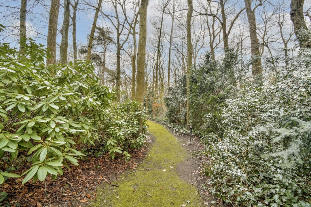 Foto 26 van Burgemeester Staablaan 4