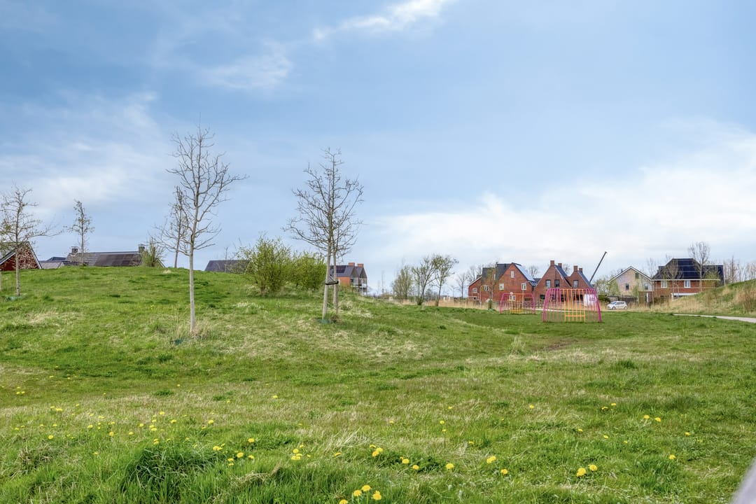 Photo 38 of Het Noorderlicht 20