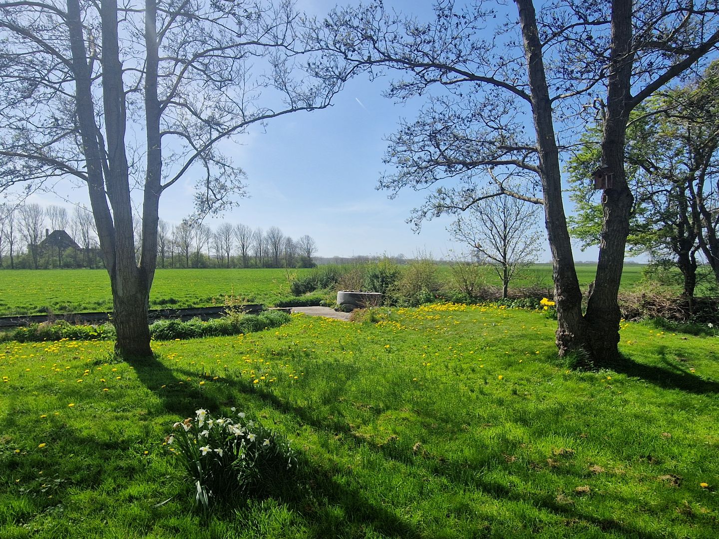 Photo 25 of Burchtweg 7