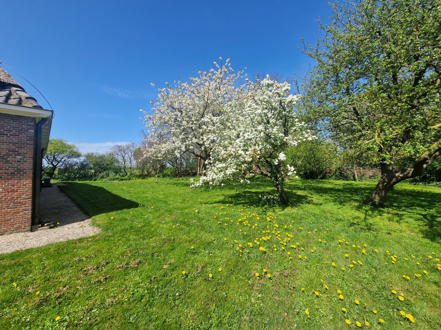 Photo 70 of Burchtweg 7