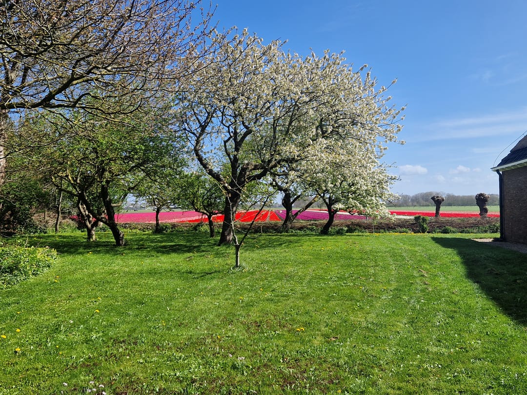 Photo 71 of Burchtweg 7