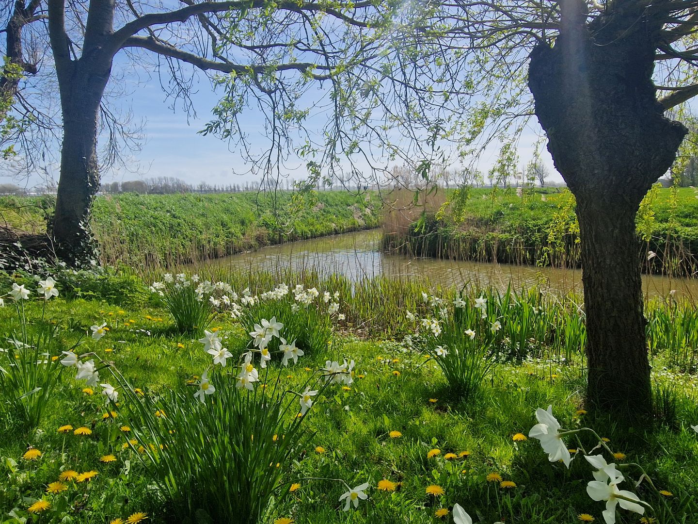 Photo 80 of Burchtweg 7