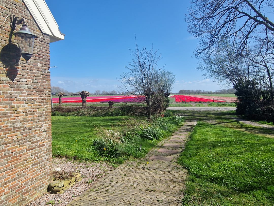 Photo 67 of Burchtweg 7