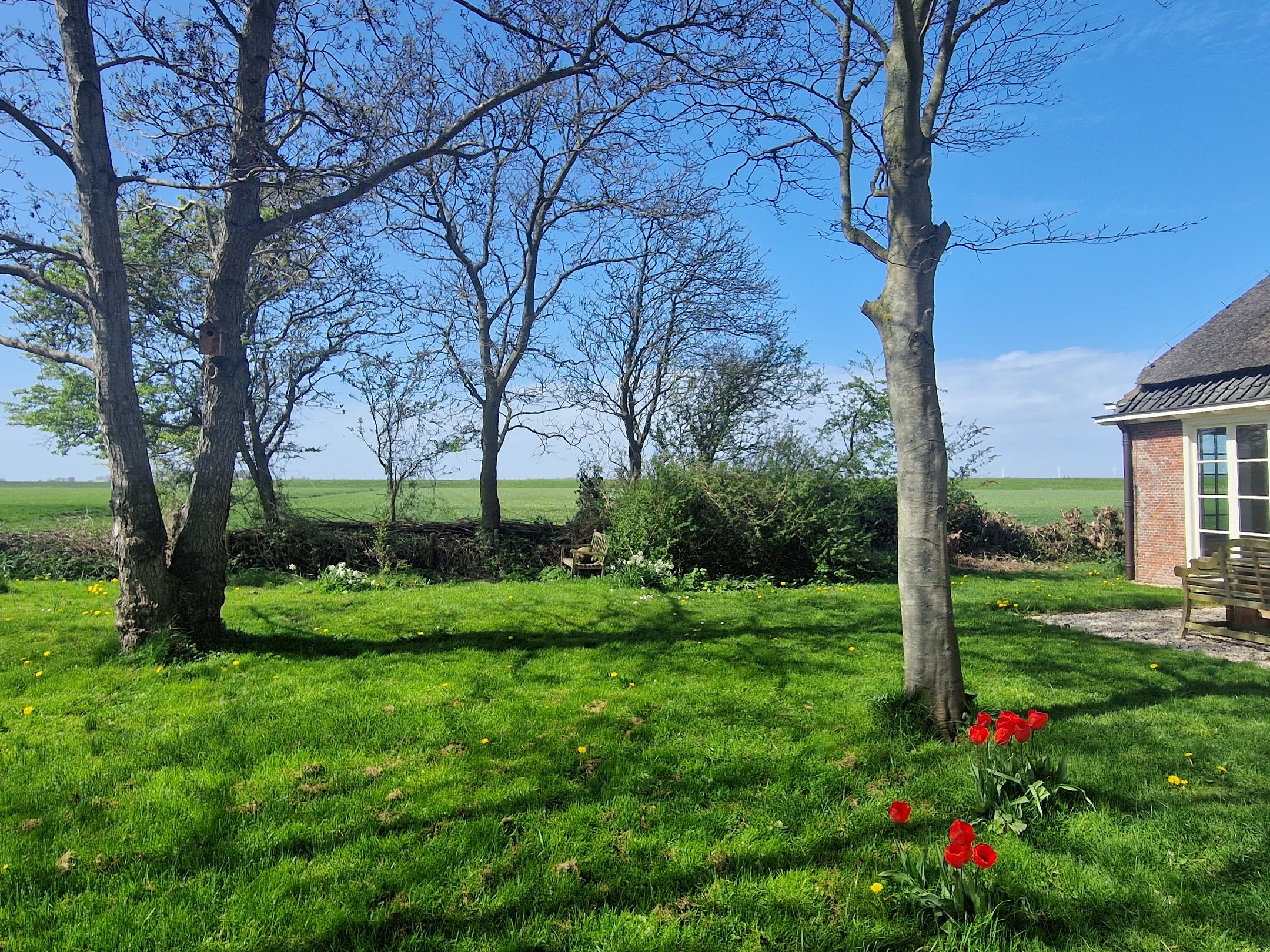 Photo 78 of Burchtweg 7