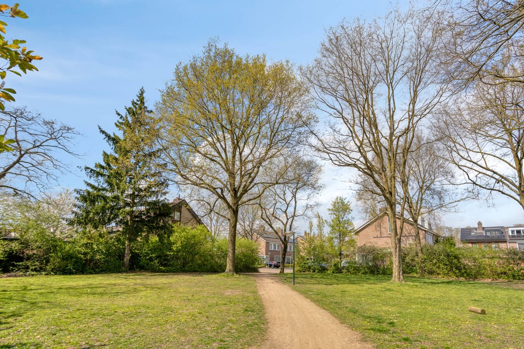 Photo 41 of Brahmslaan 11