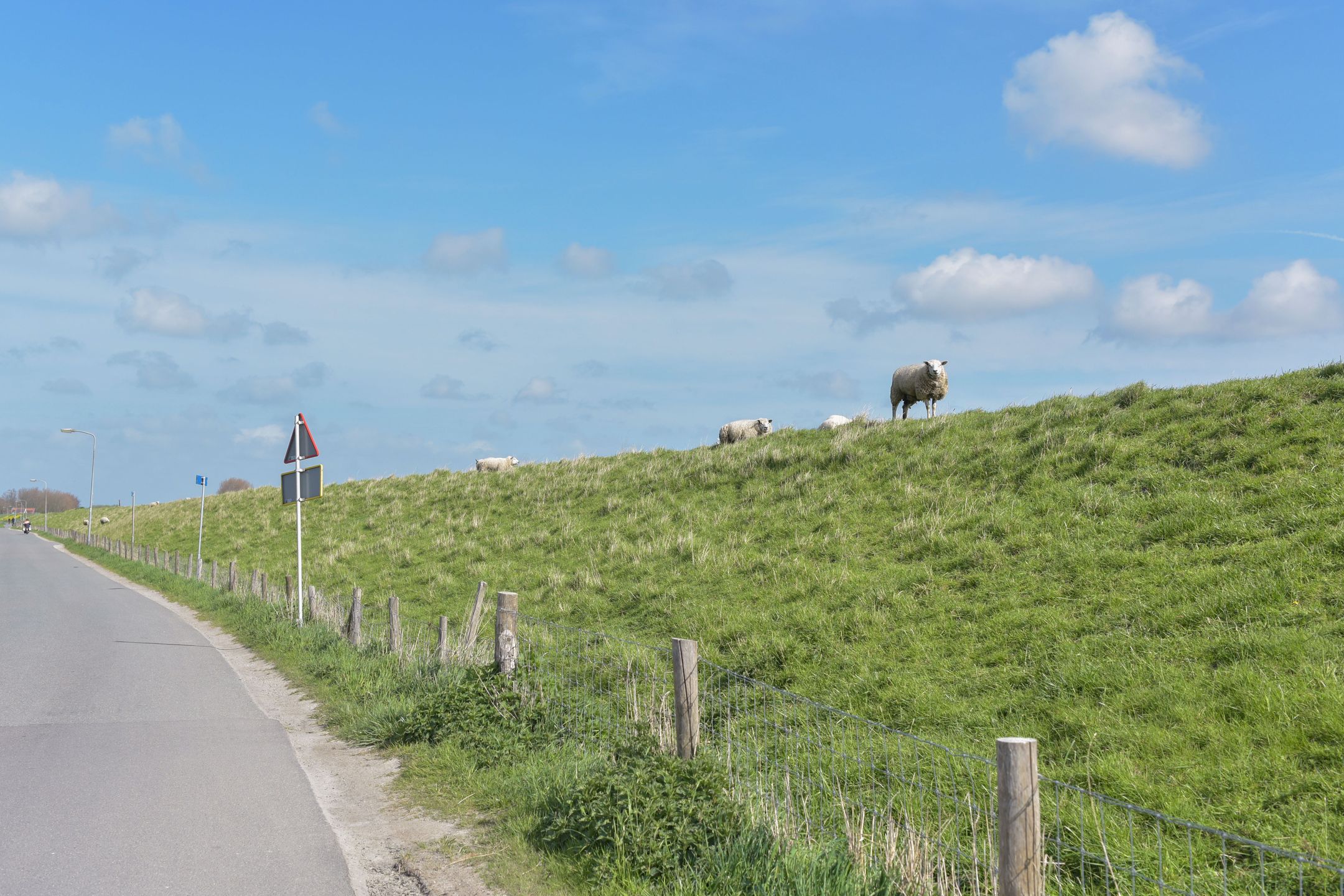 Foto 27 van Taeke van der Meerstraat 13-A