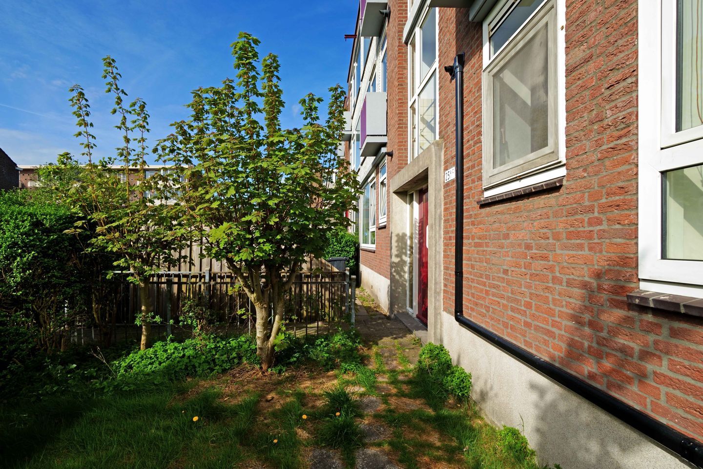 Foto 4 van Jan Steenstraat 25-A