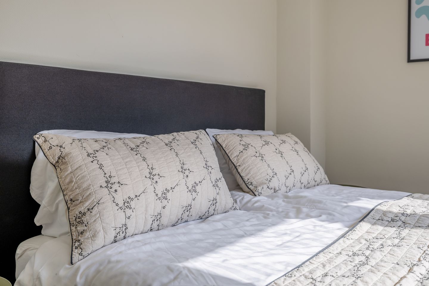 Foto 20 van Elderskar 8