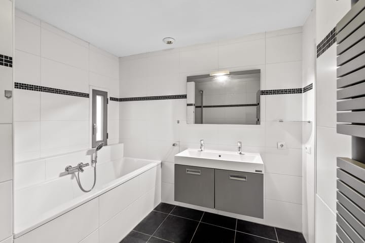 Foto 3 van Laan van Europa 197