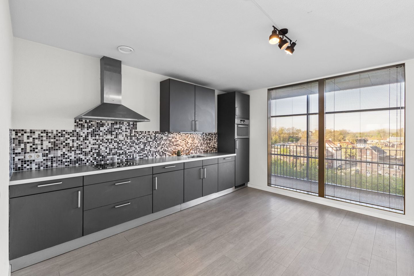 Foto 10 van Laan van Europa 197