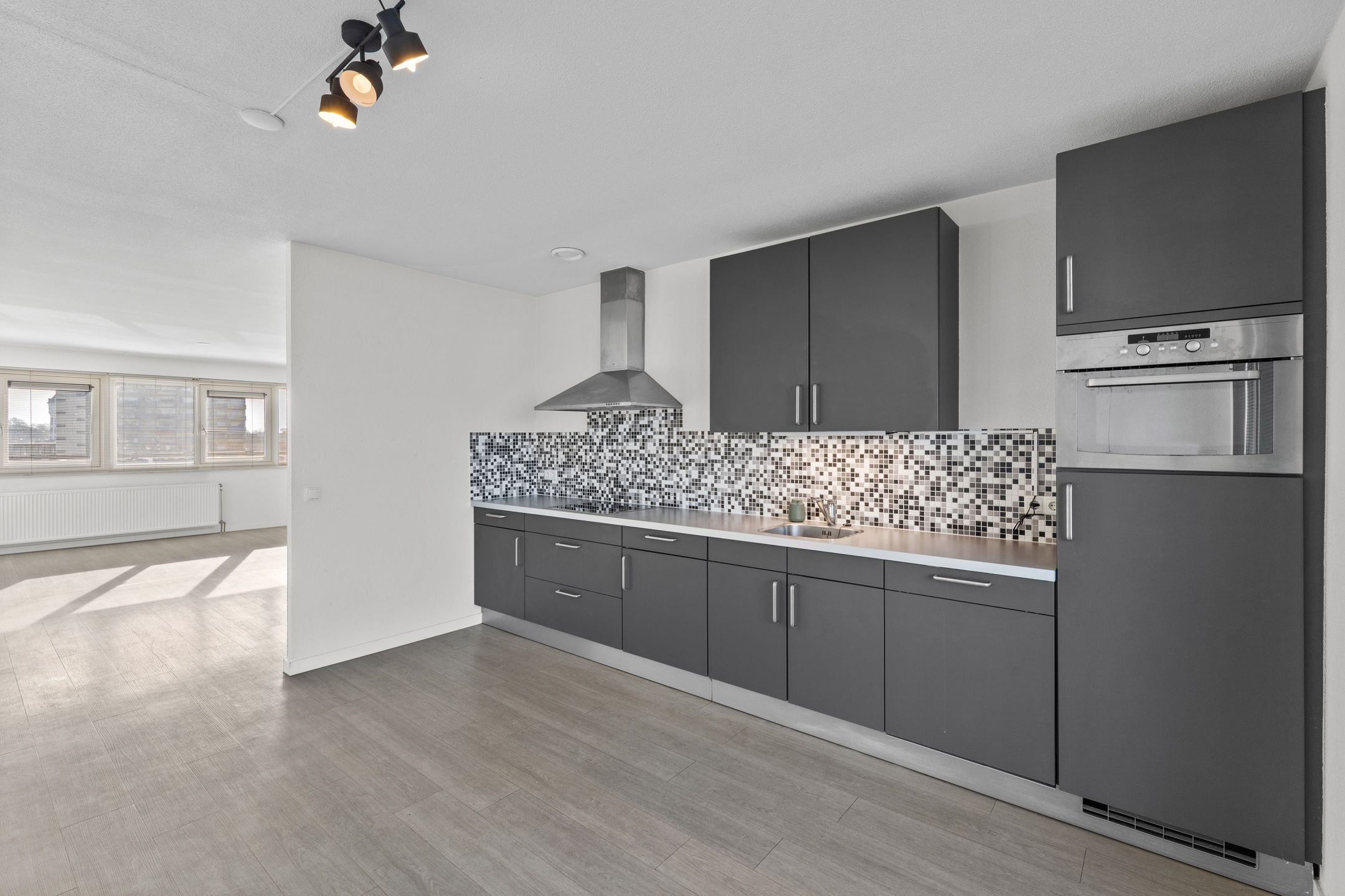 Foto 12 van Laan van Europa 197