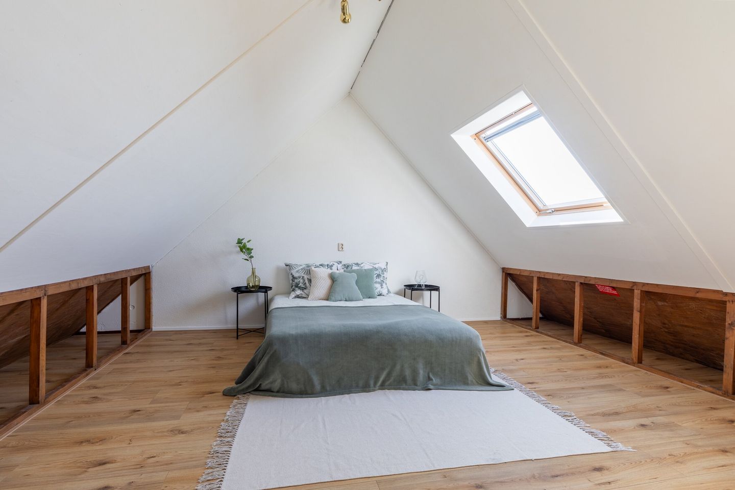 Foto 20 van Nelly Boudewijnsstraat 27