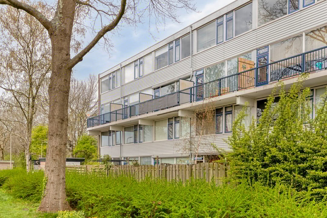 Foto 37 van Lauwers 66