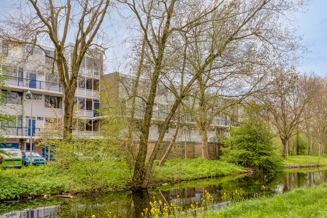 Foto 41 van Lauwers 66