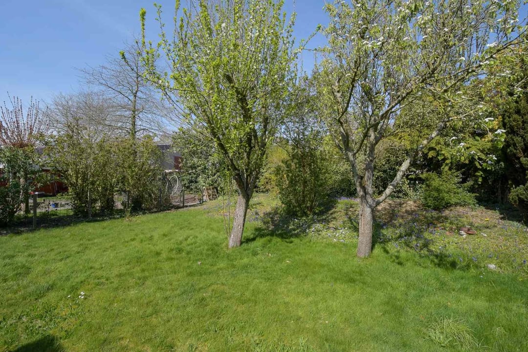 Photo 38 of Graanland 11