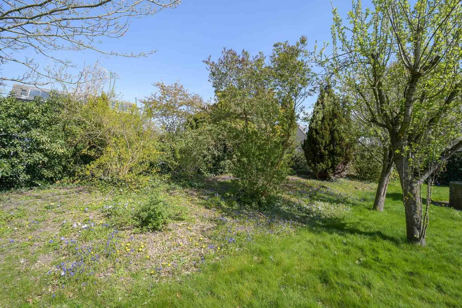 Photo 39 of Graanland 11