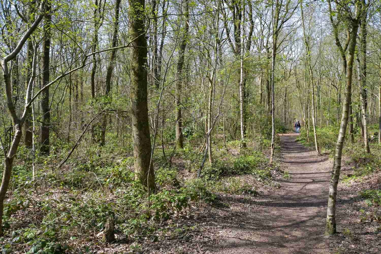 Photo 51 of Graanland 11