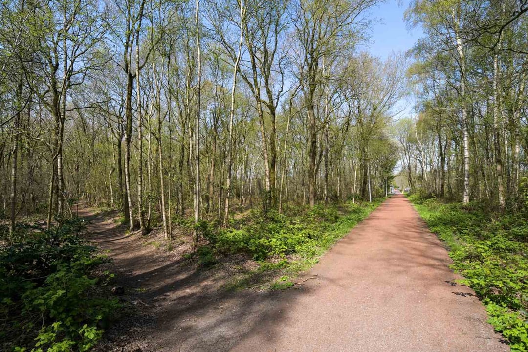 Photo 52 of Graanland 11