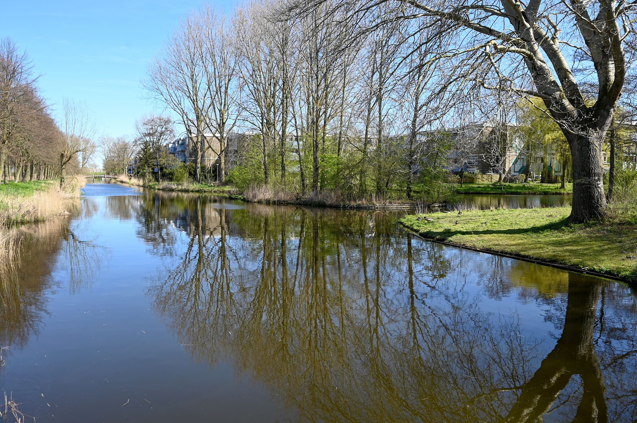 Foto 15 van Voordek 49