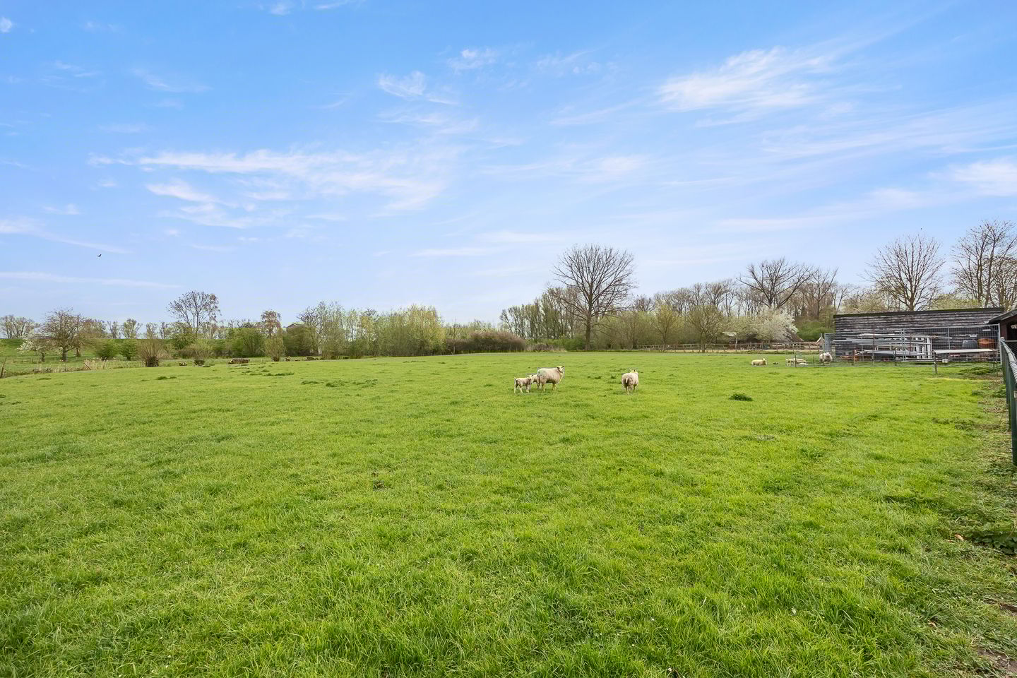 Foto 70 van Biezenwaard 4