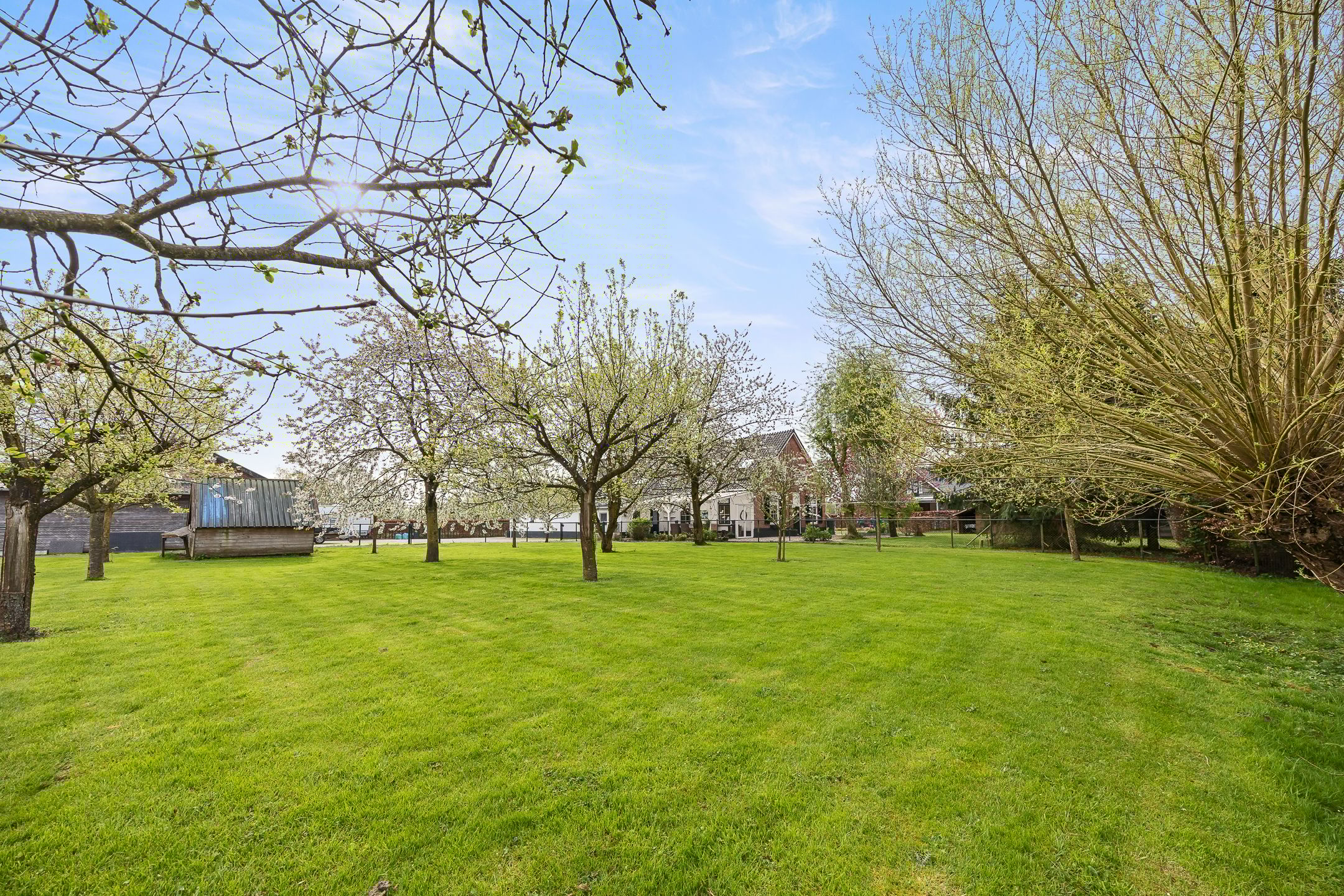 Foto 72 van Biezenwaard 4