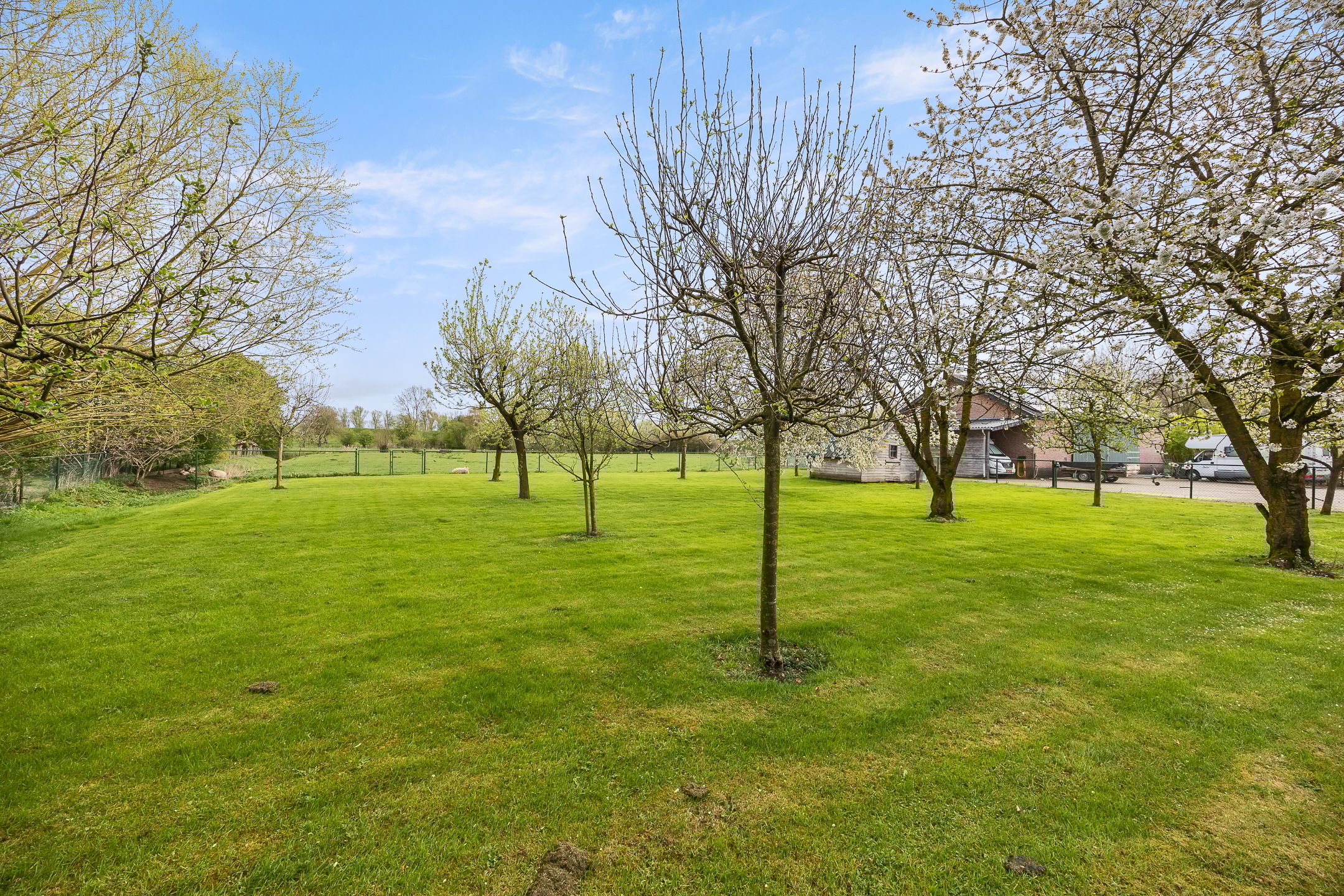 Foto 69 van Biezenwaard 4