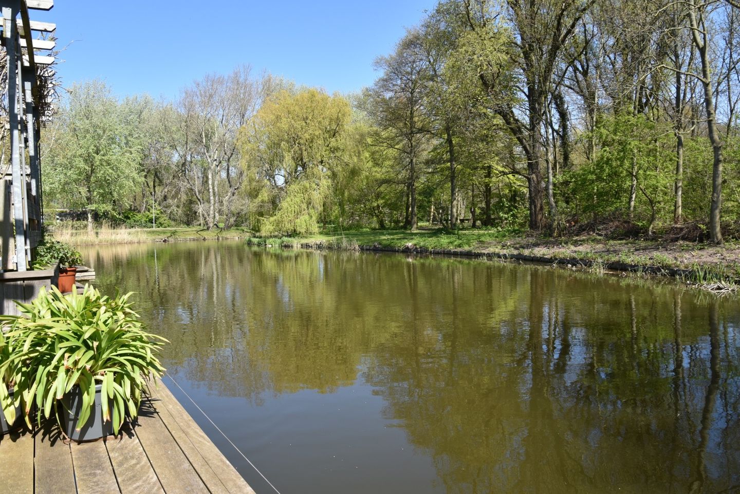 Foto 55 van Pieter Verweijweg 15