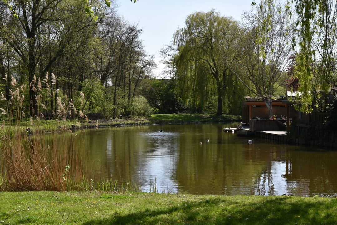 Foto 58 van Pieter Verweijweg 15