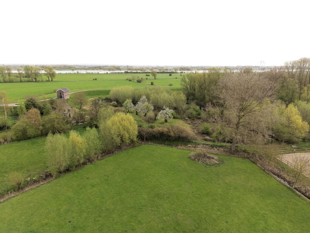 Foto 92 van Biezenwaard 4