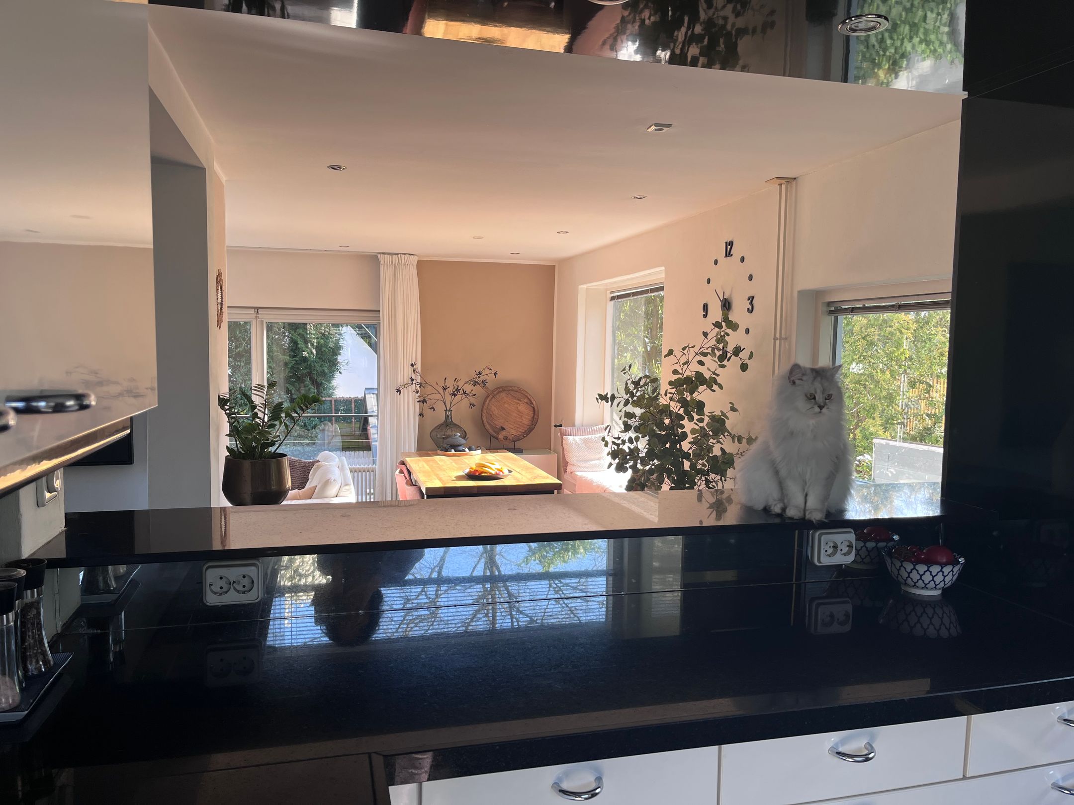 Photo 21 of Steenhoffstraat 49