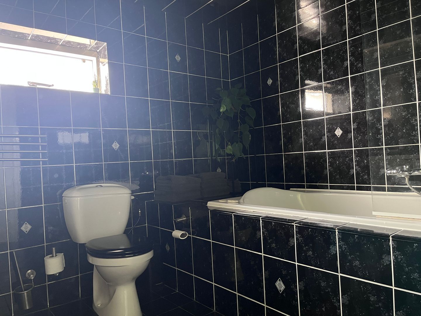 Photo 40 of Steenhoffstraat 49