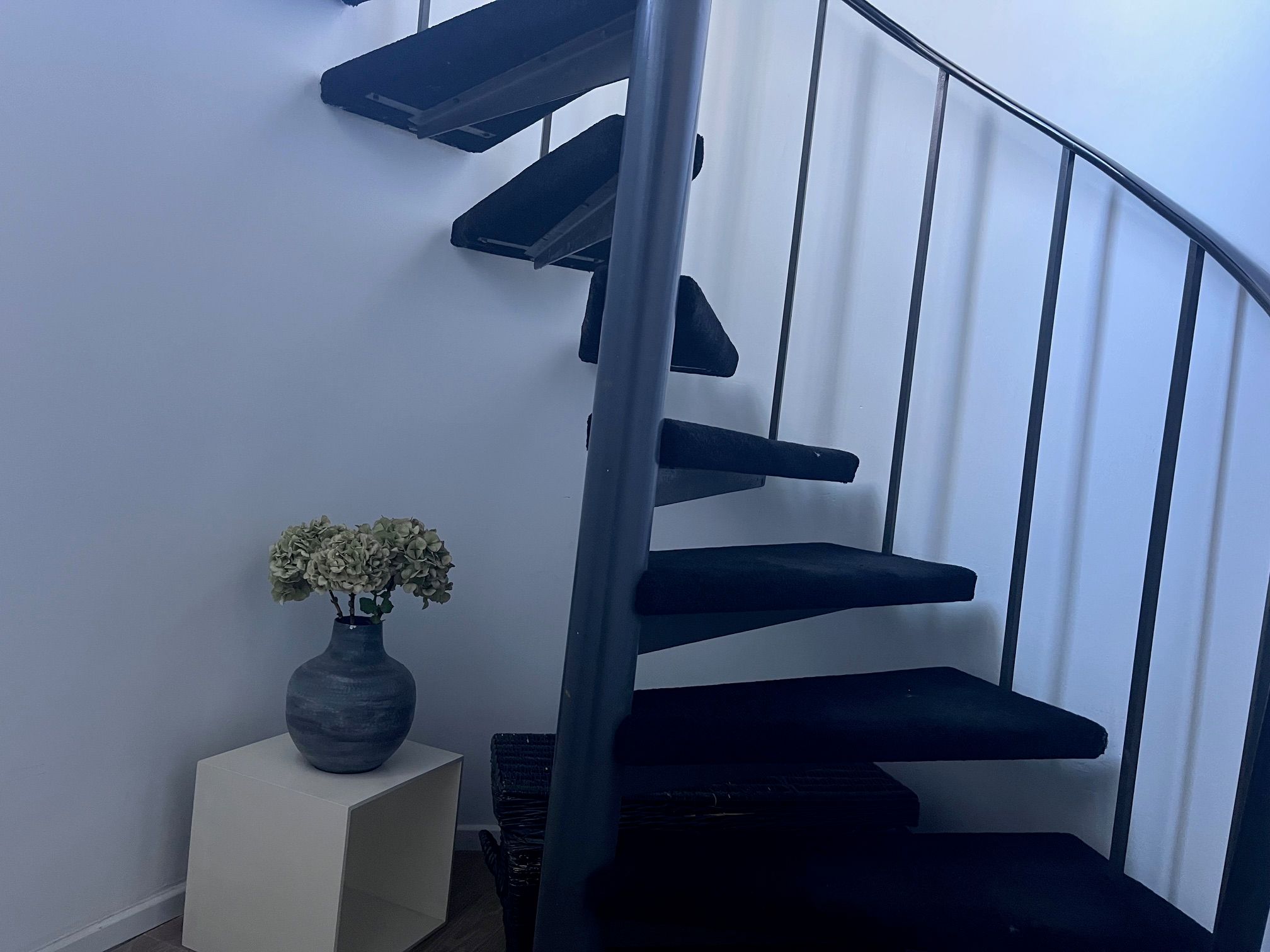 Photo 54 of Steenhoffstraat 49