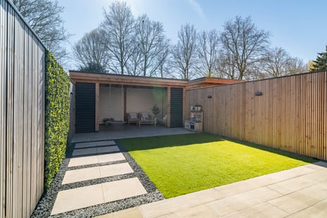 Meerkoet 50 tertiary image