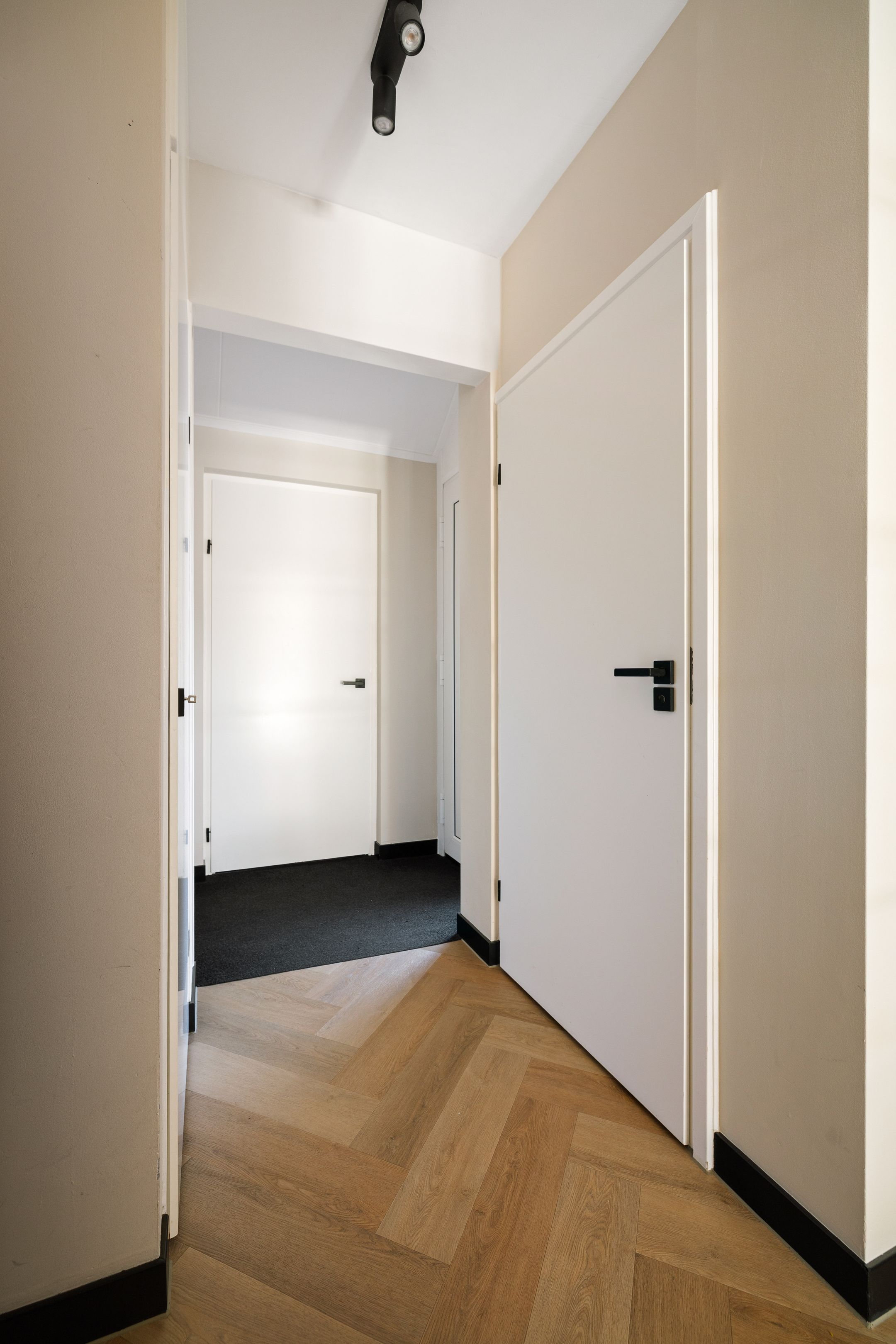 Photo 15 of Meerkoet 50