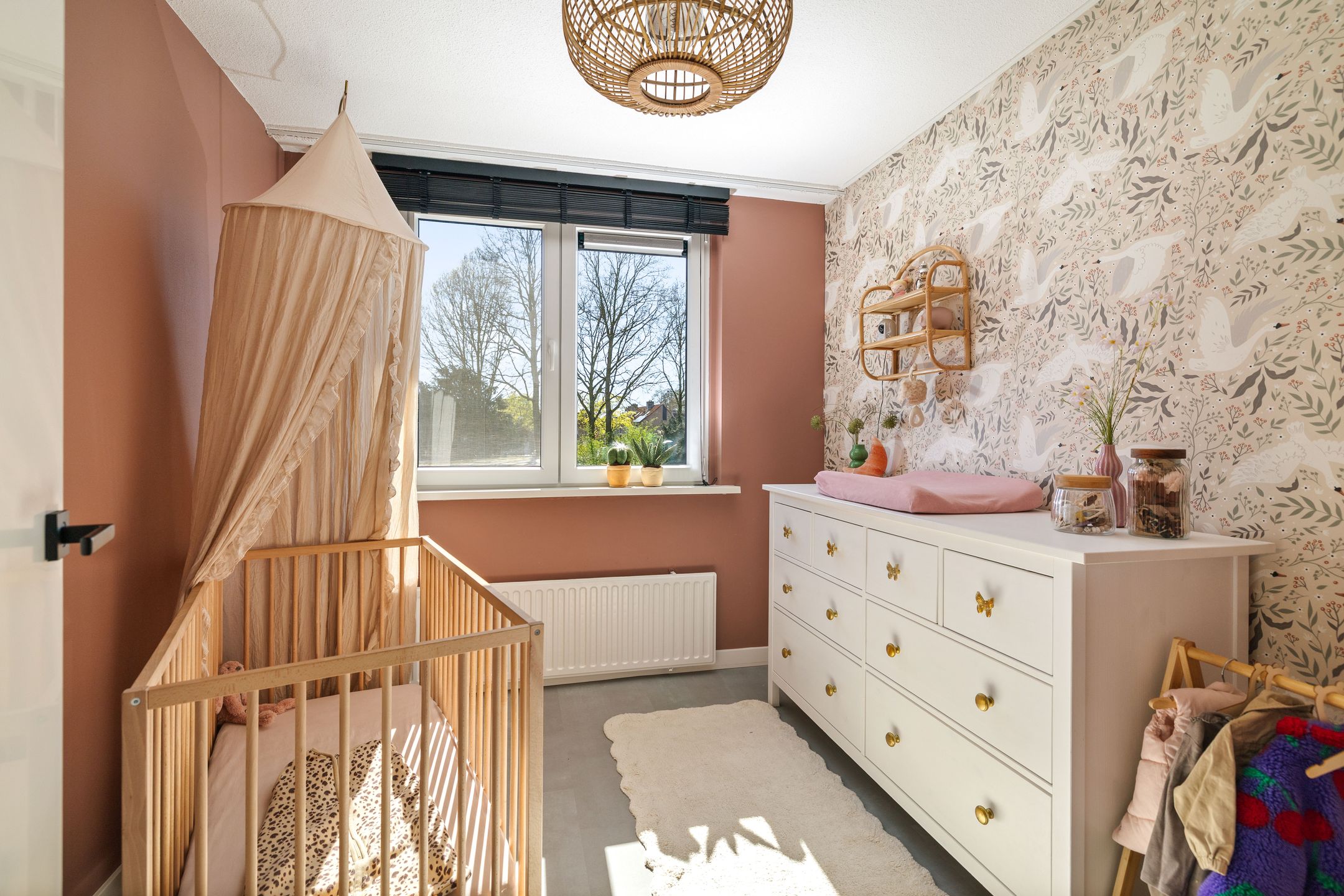 Photo 24 of Meerkoet 50