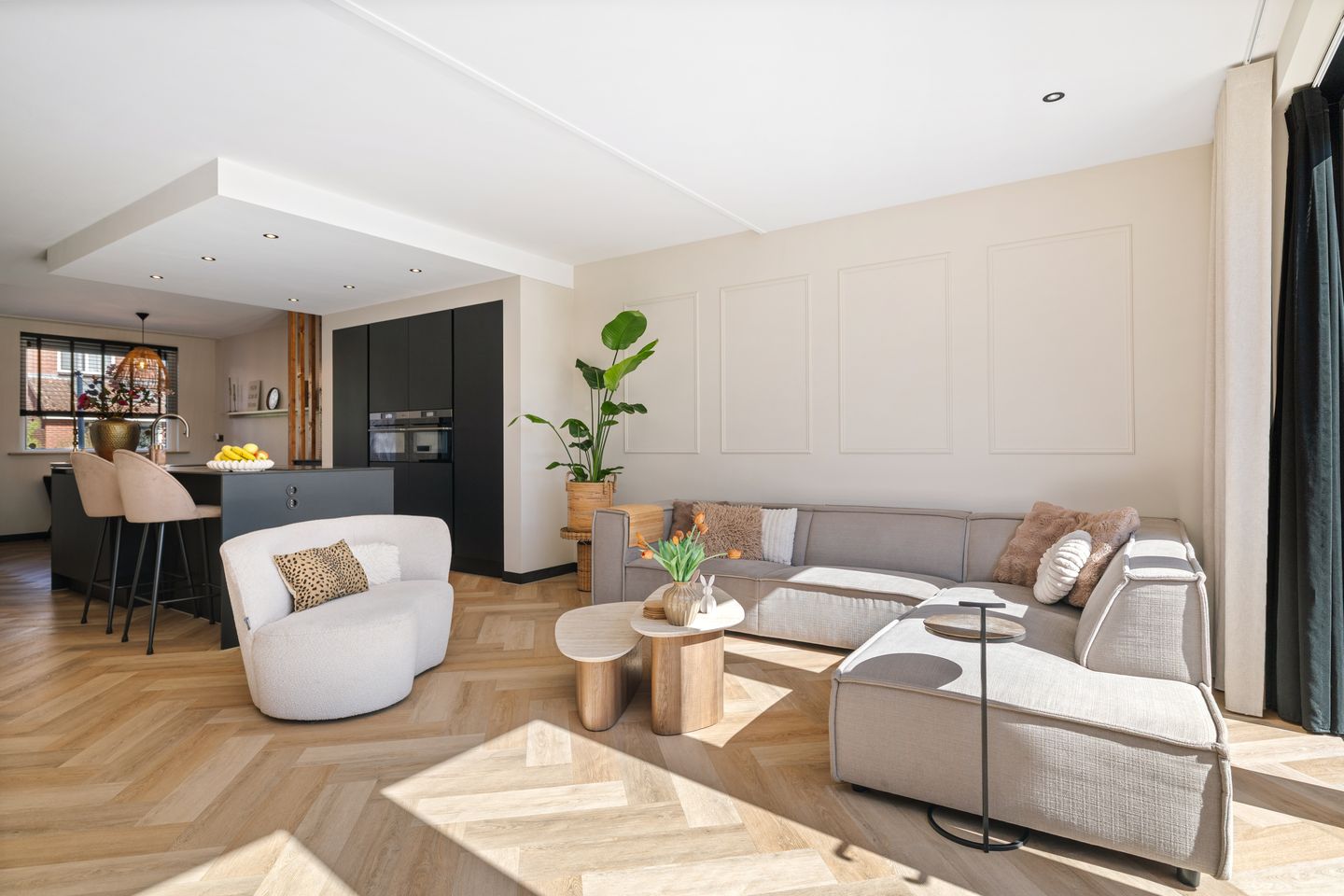 Photo 5 of Meerkoet 50