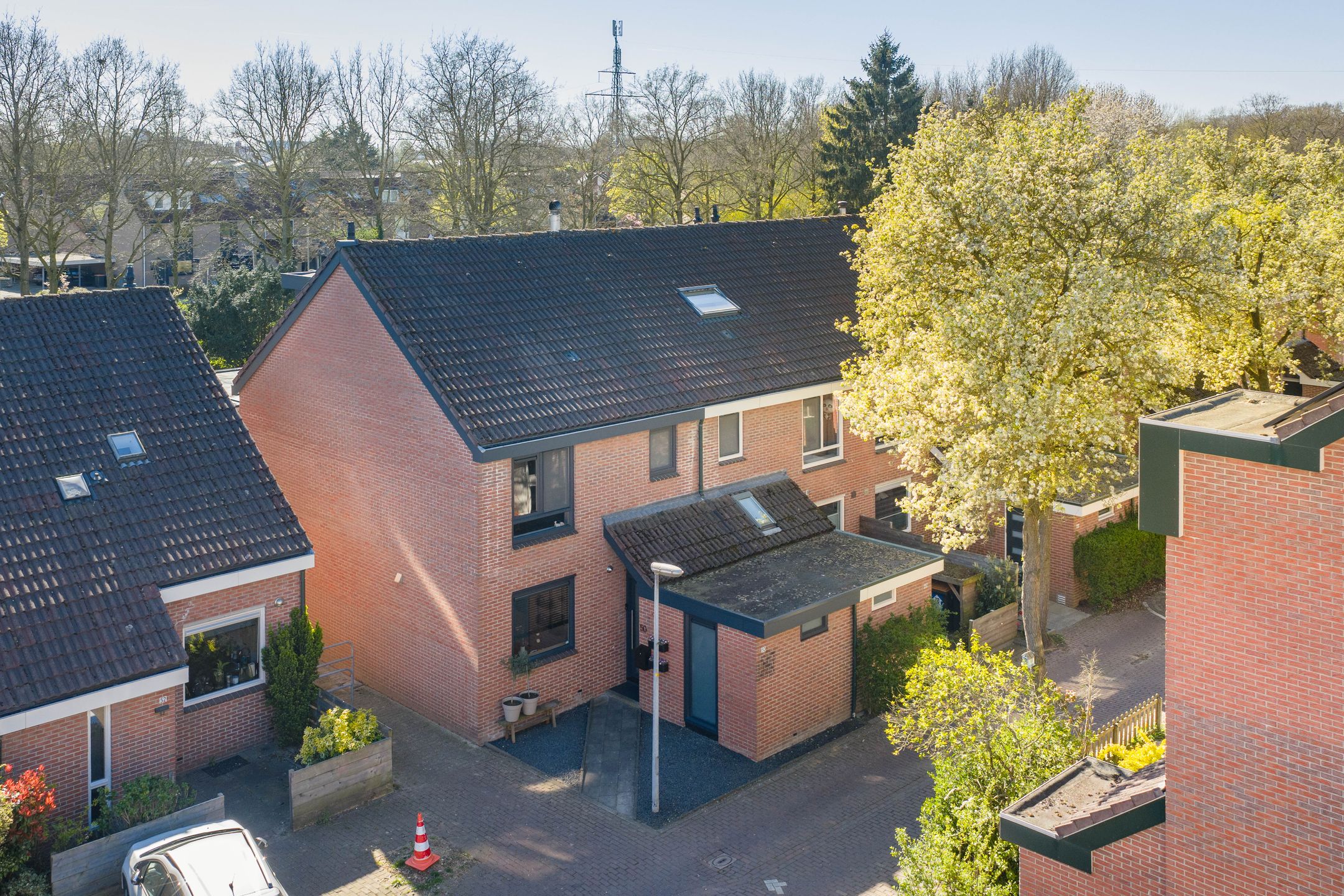 Photo 39 of Meerkoet 50