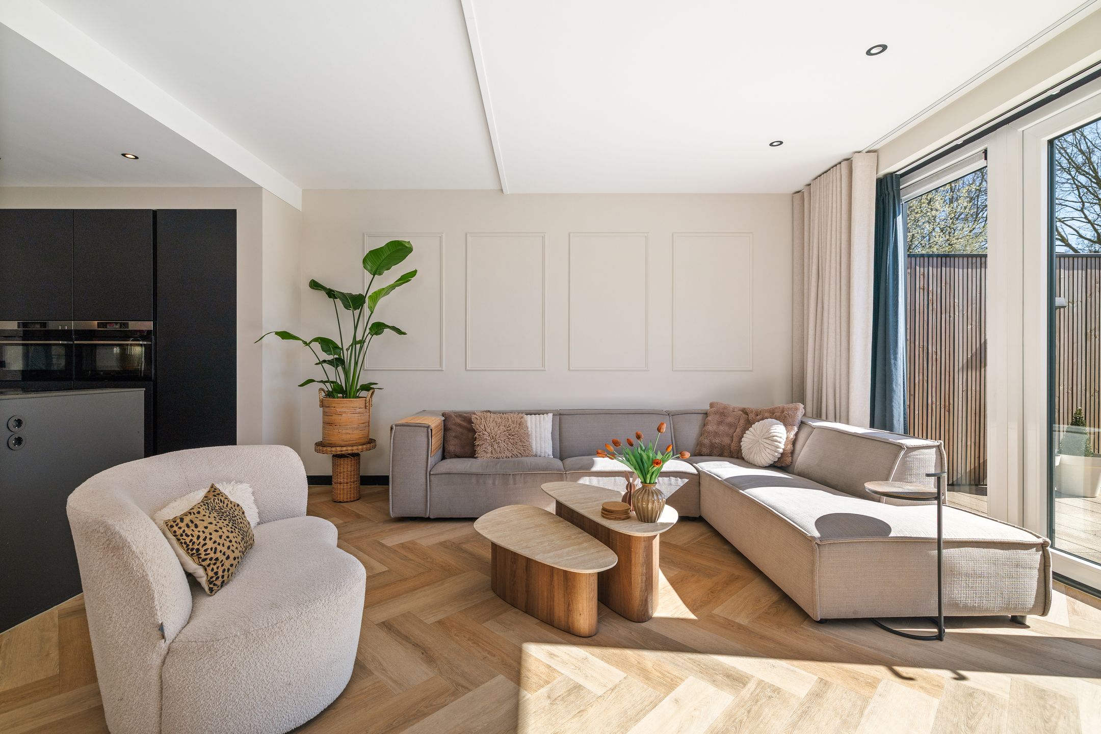 Photo 6 of Meerkoet 50