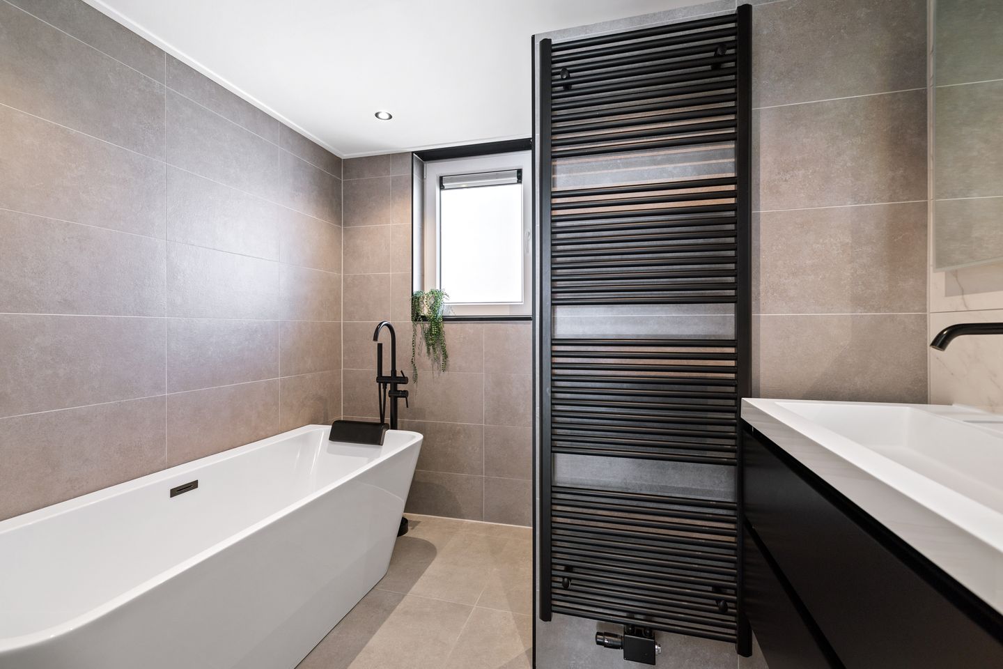 Photo 25 of Meerkoet 50