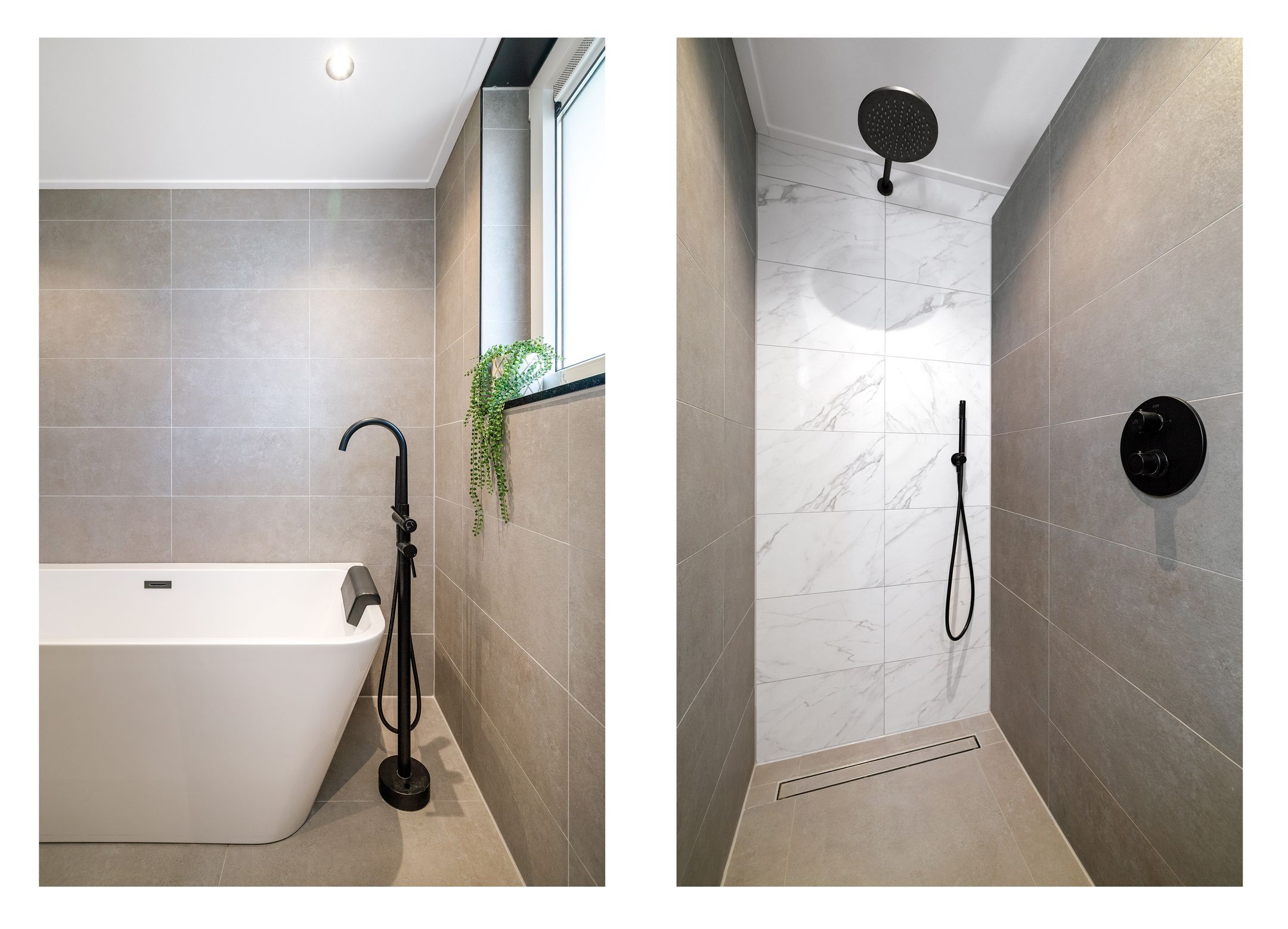 Photo 27 of Meerkoet 50