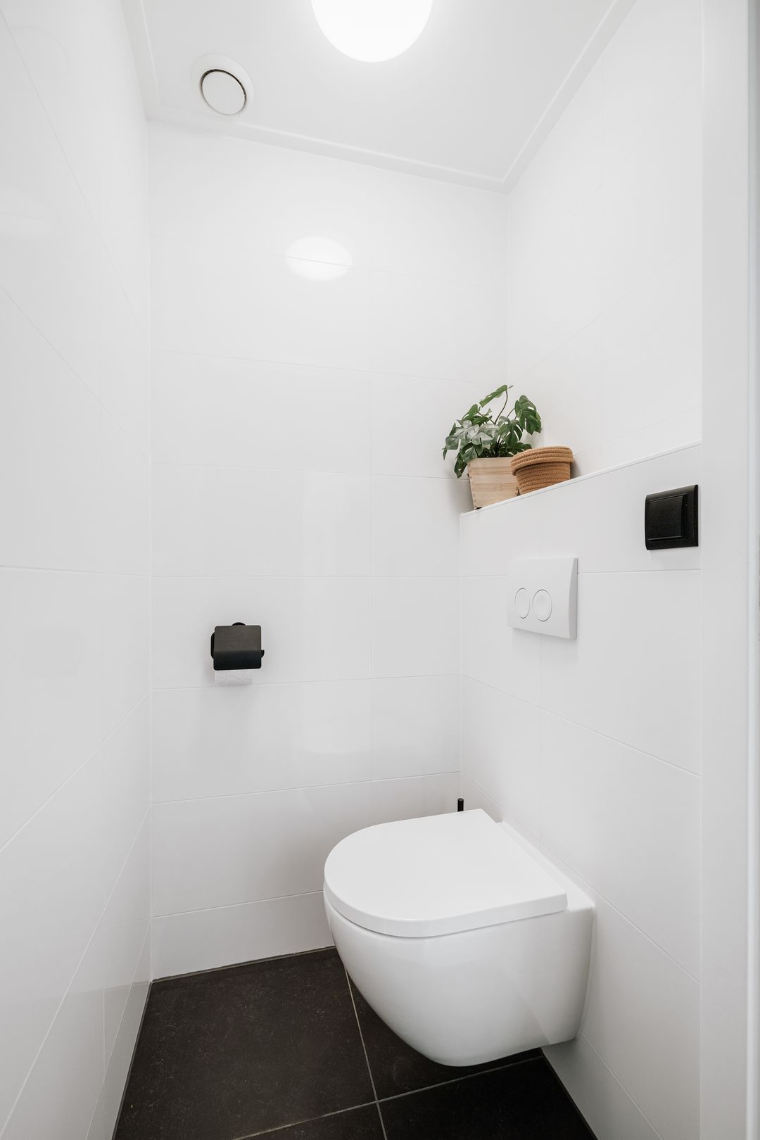 Photo 28 of Meerkoet 50