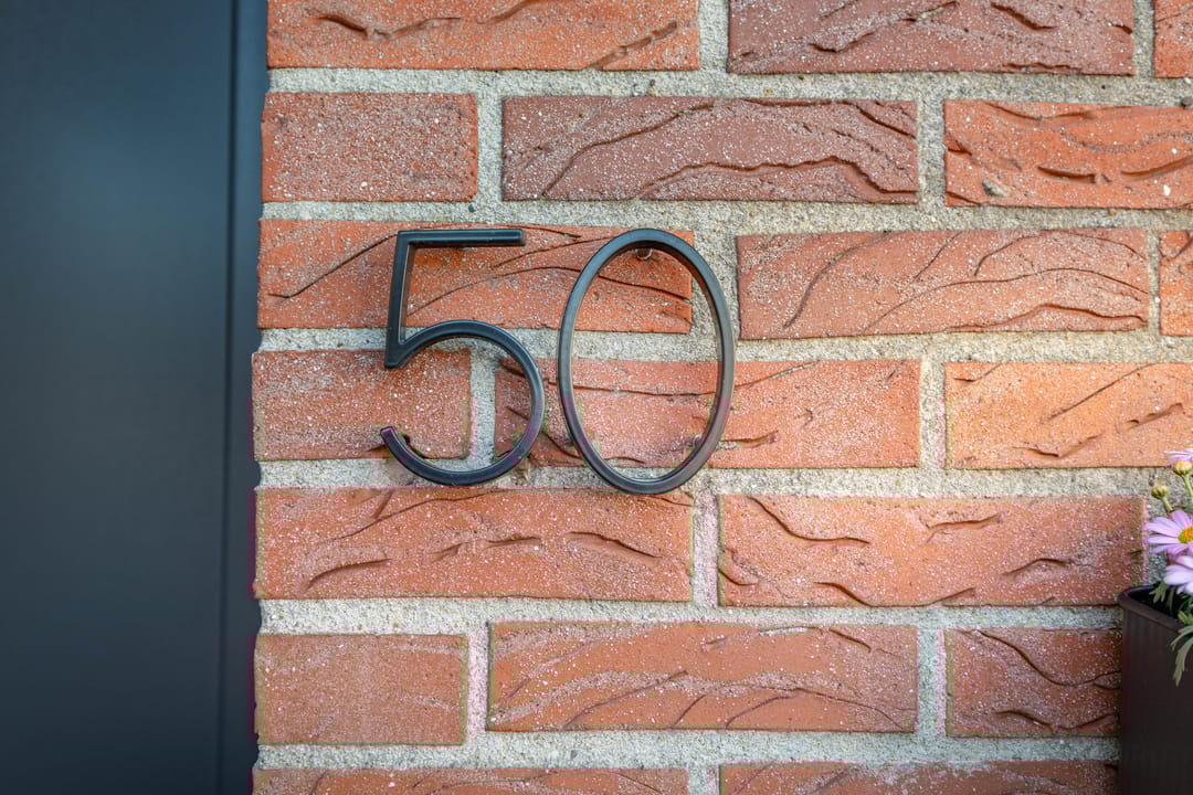 Photo 37 of Meerkoet 50