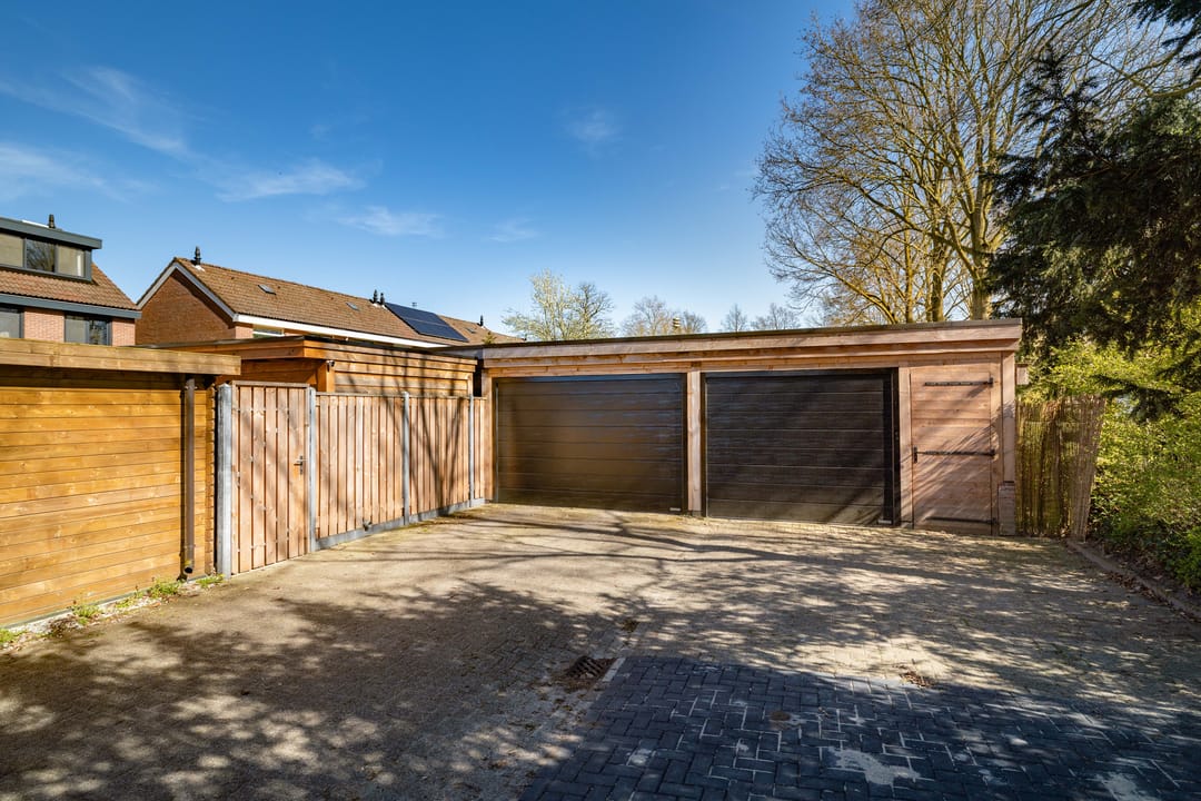 Photo 46 of Meerkoet 50