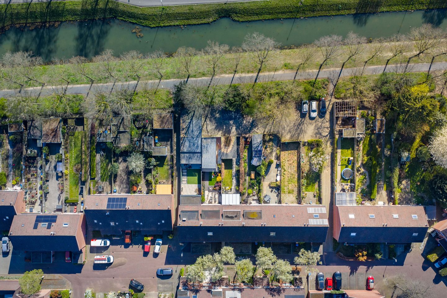 Photo 49 of Meerkoet 50